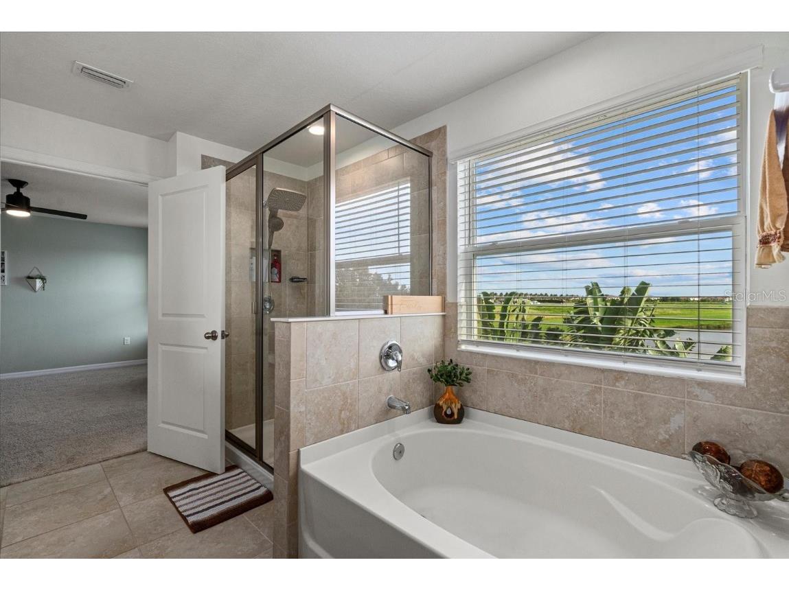 5030 Jackel Chase Drive Wimauma FL 33598 TB8426819 image43