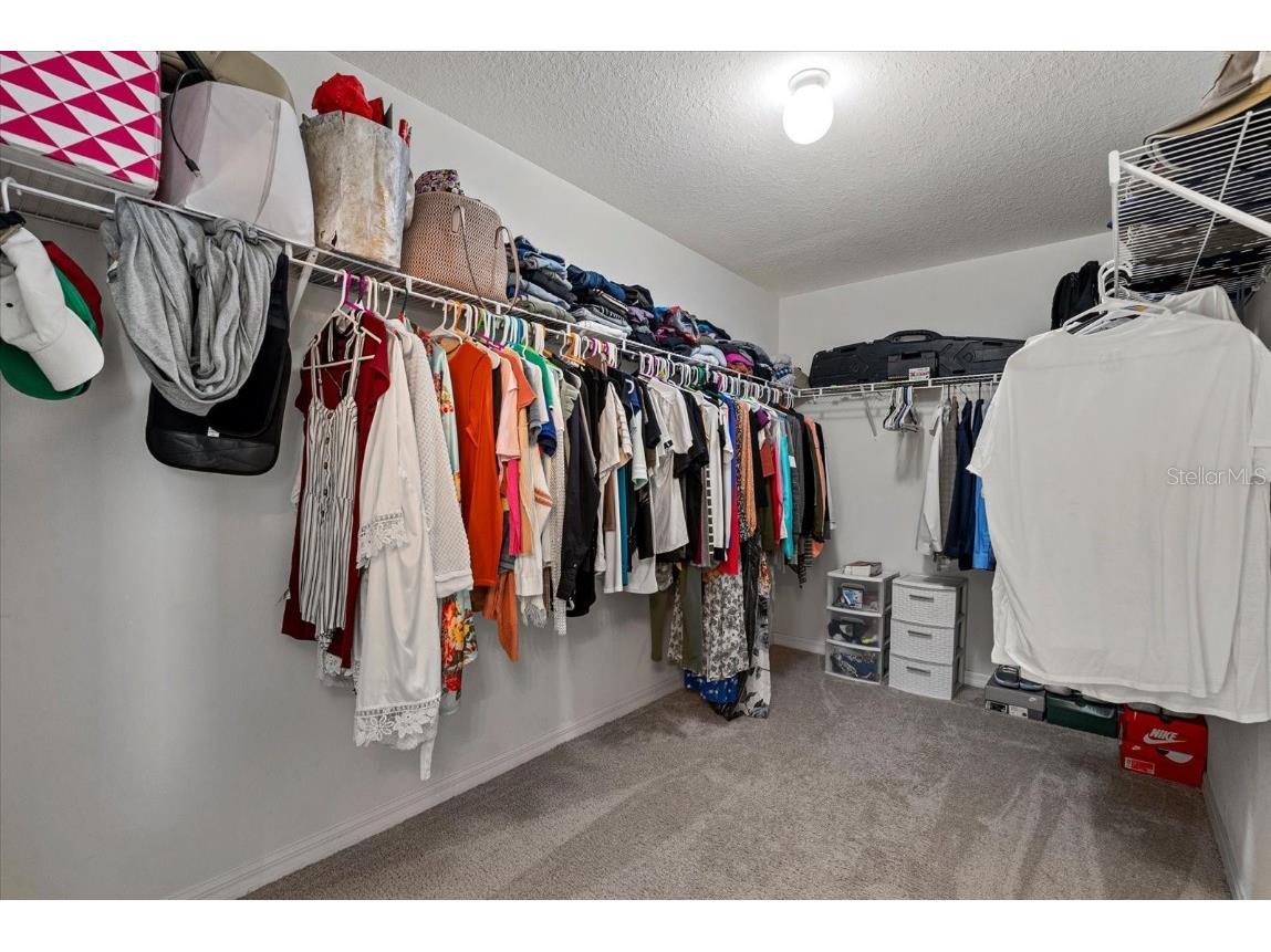 5030 Jackel Chase Drive Wimauma FL 33598 TB8426819 image44