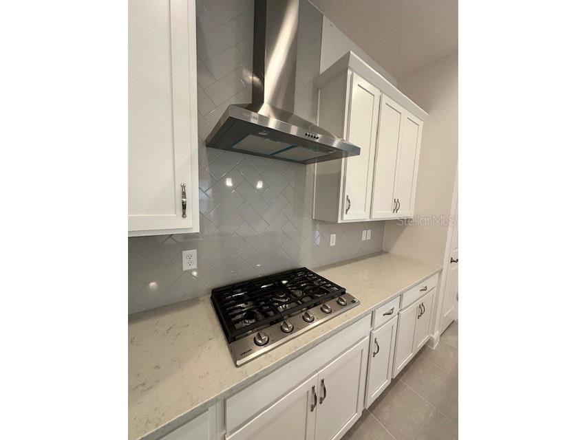 5031 Dancy Lane Saint Cloud FL 34772 O6265389 image4