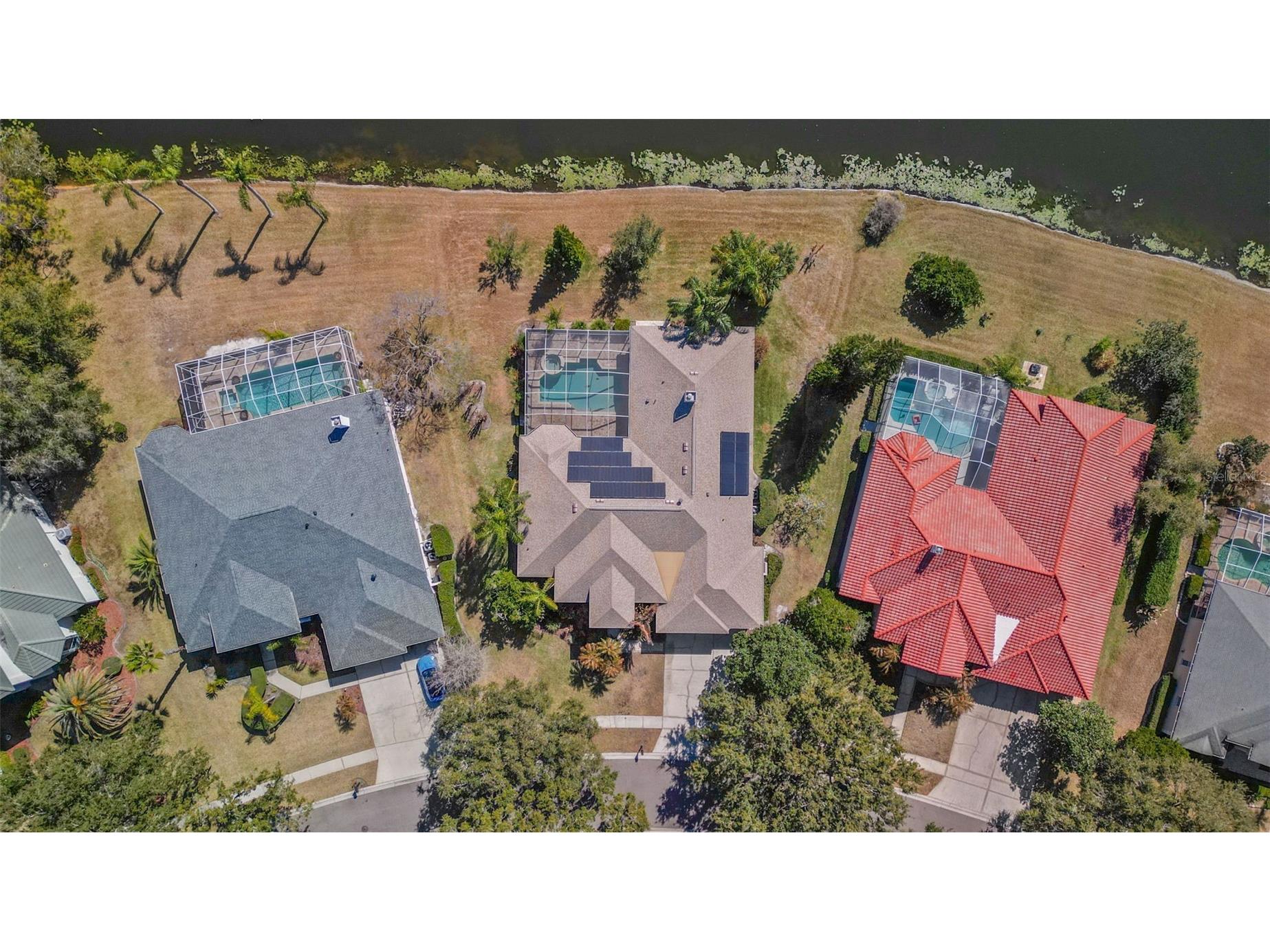 5031 Wesley Drive Tampa FL 33647 TB8475319 image1