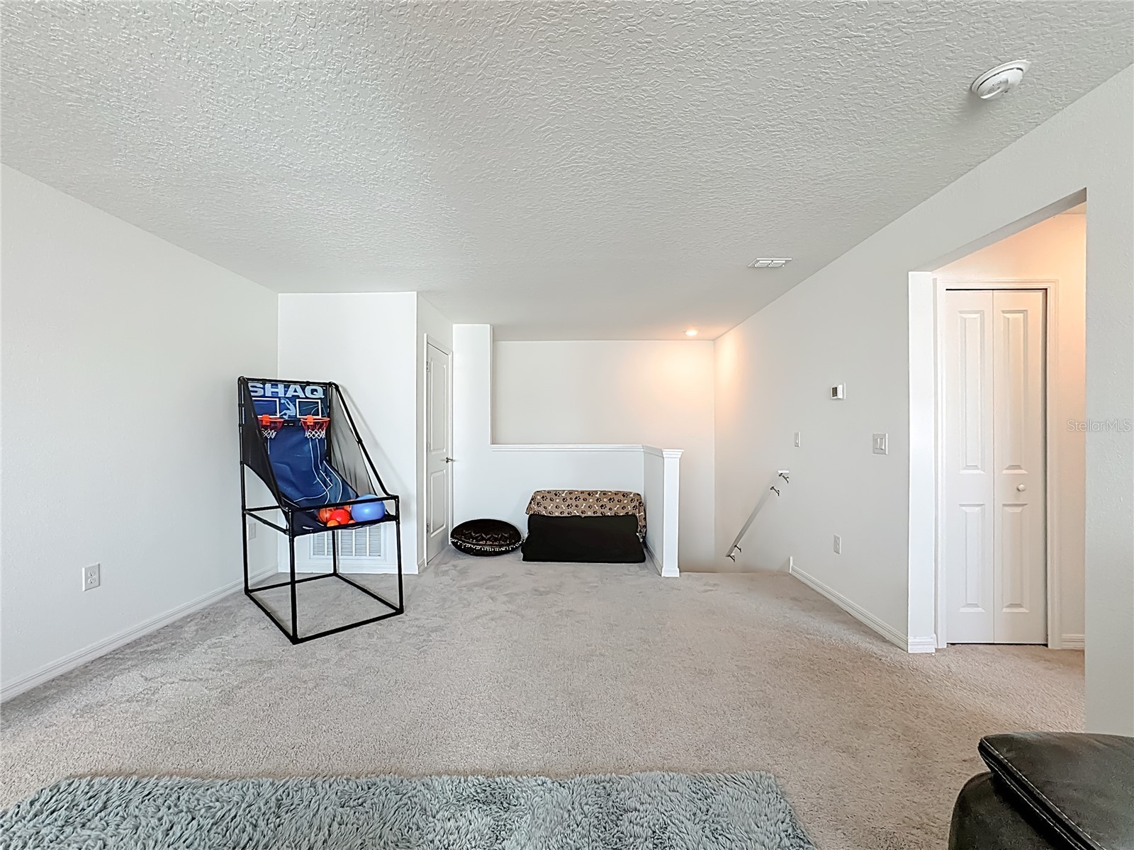 5032 Eagle Rock Drive Wimauma FL 33598 TB8469228 image36