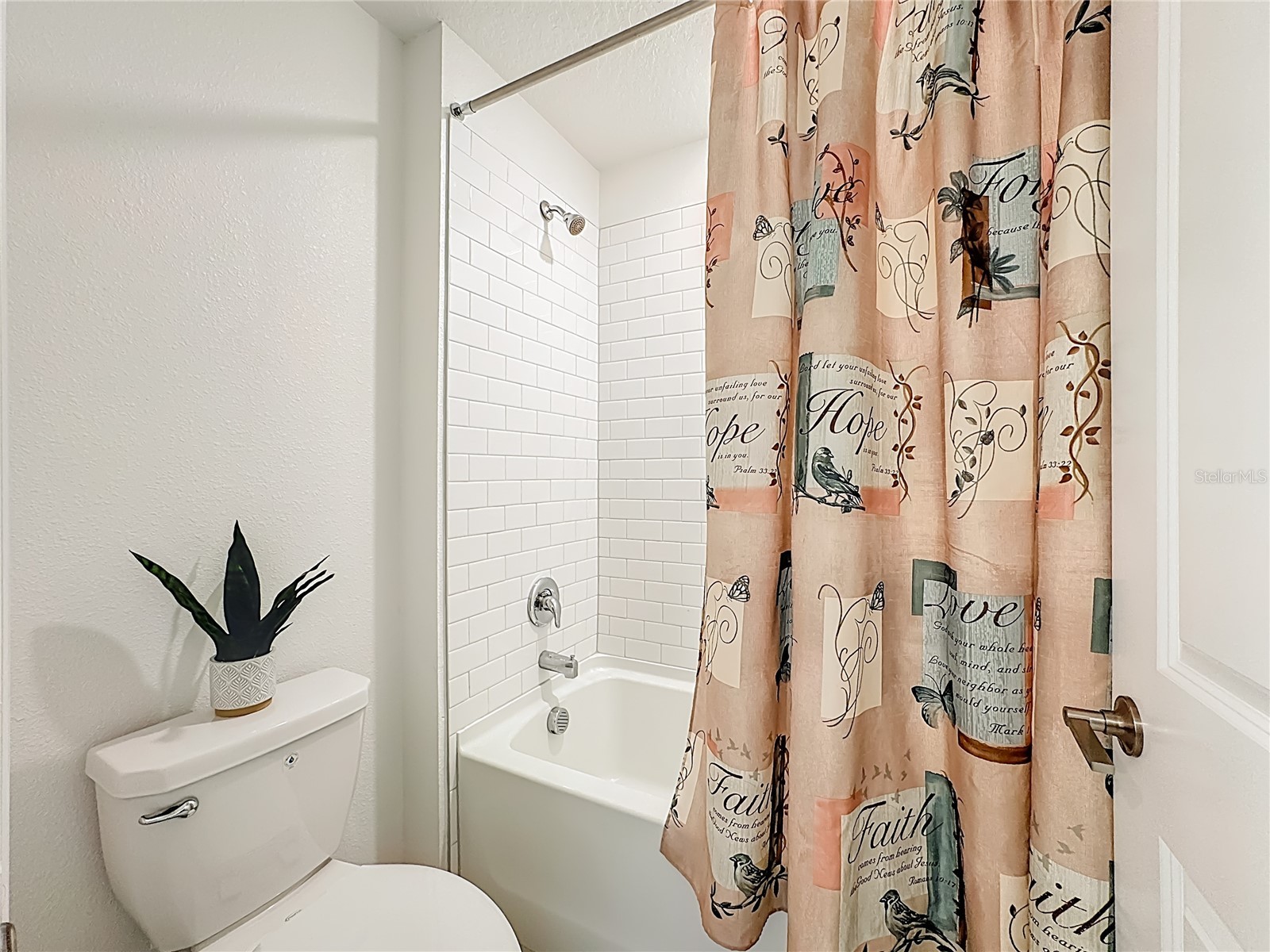 5032 Eagle Rock Drive Wimauma FL 33598 TB8469228 image41