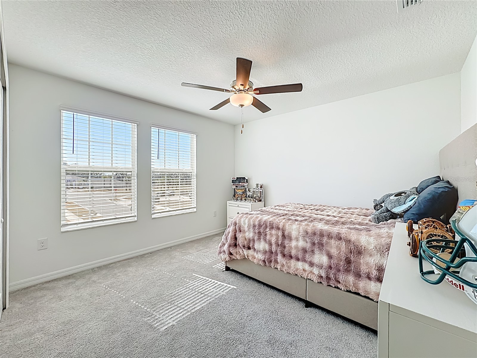 5032 Eagle Rock Drive Wimauma FL 33598 TB8469228 image43