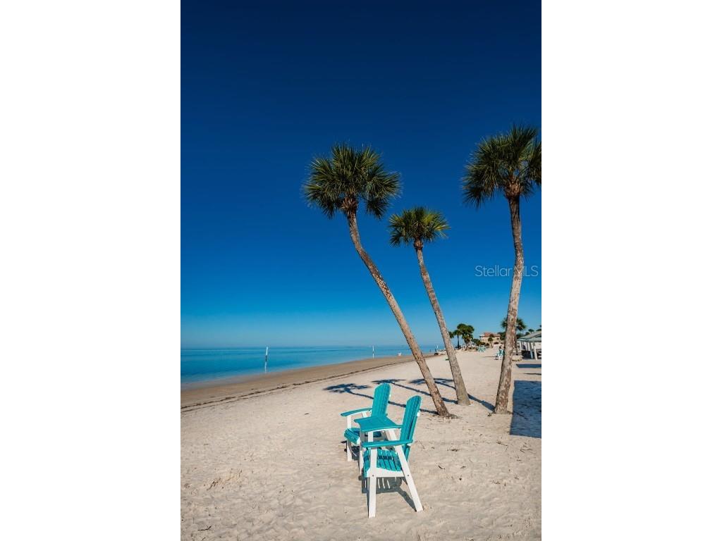 5032 Sand Castle Drive New Port Richey FL 34652 W7876278 image69