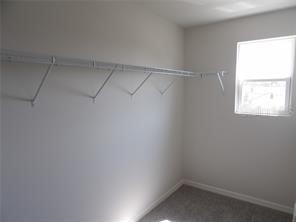 5033 Kirkwood Avenue Spring Hill FL 34608 TB8504671 image12