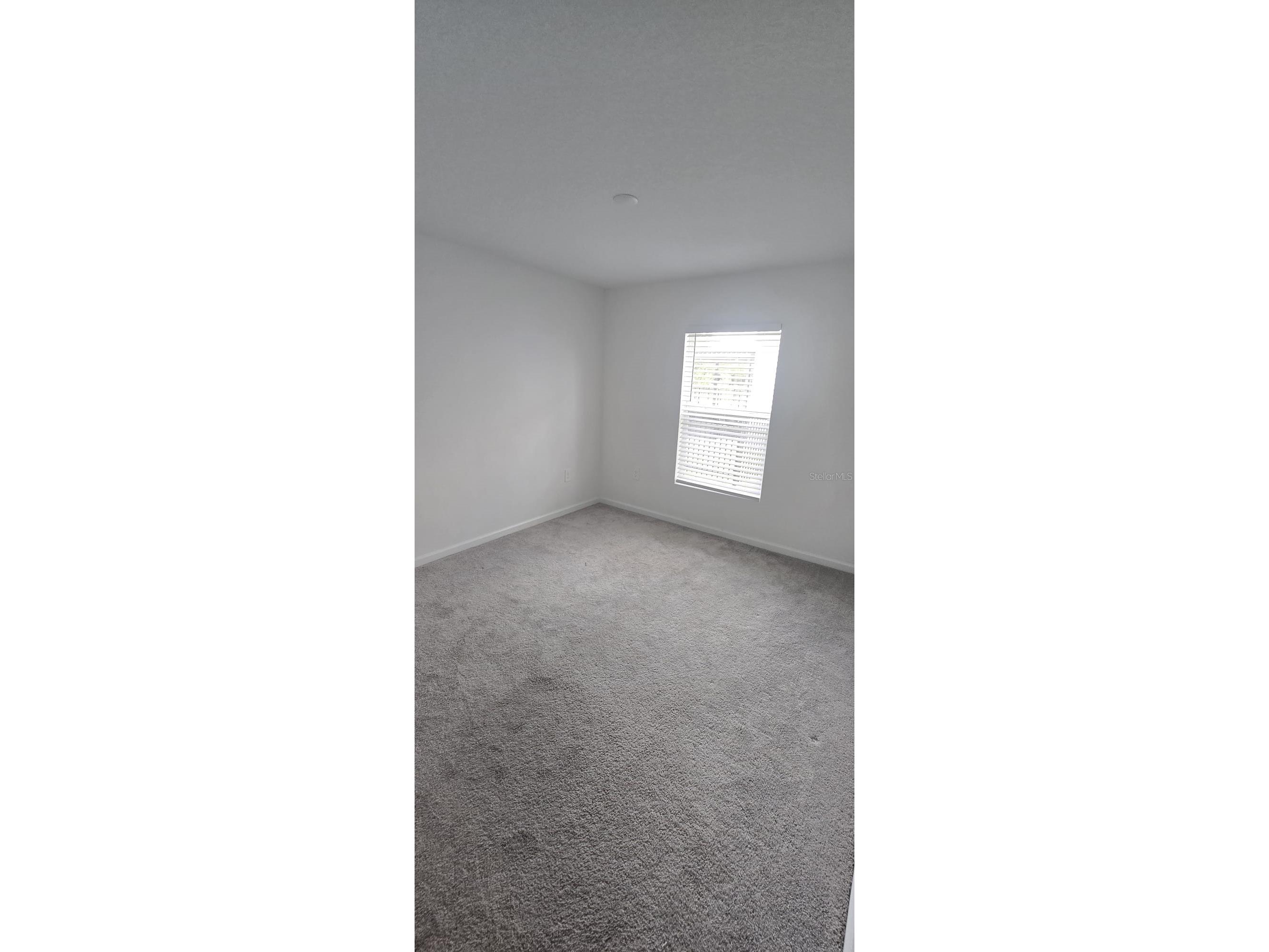 5034 Barnet Drive Davenport FL 33837 S5148210 image5