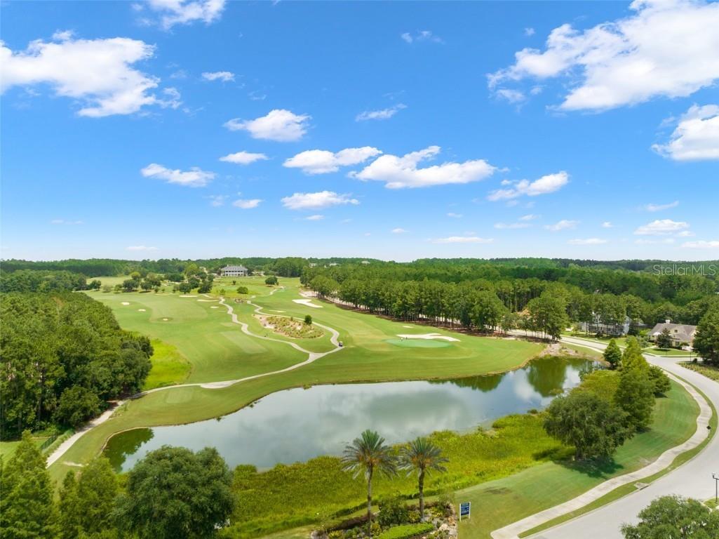 5034 Elm Leaf Drive Brooksville FL 34601 W7879217 image42