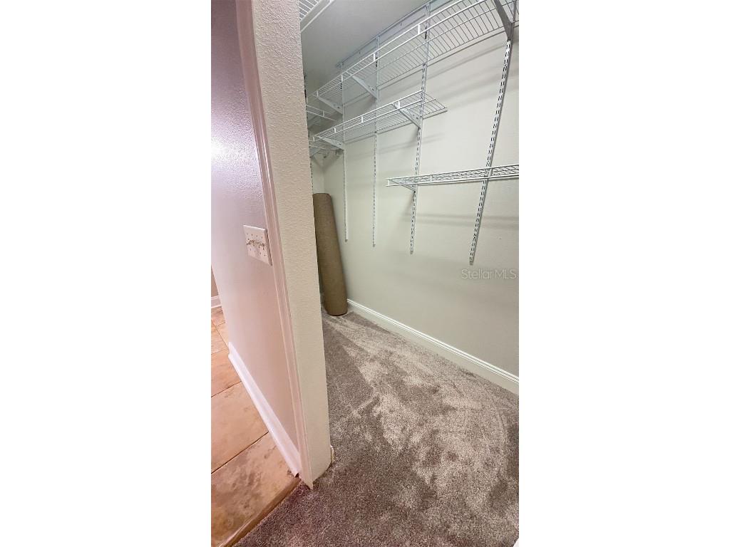 5034 Torrey Hills Lane Lutz FL 33558 TB8422845 image28