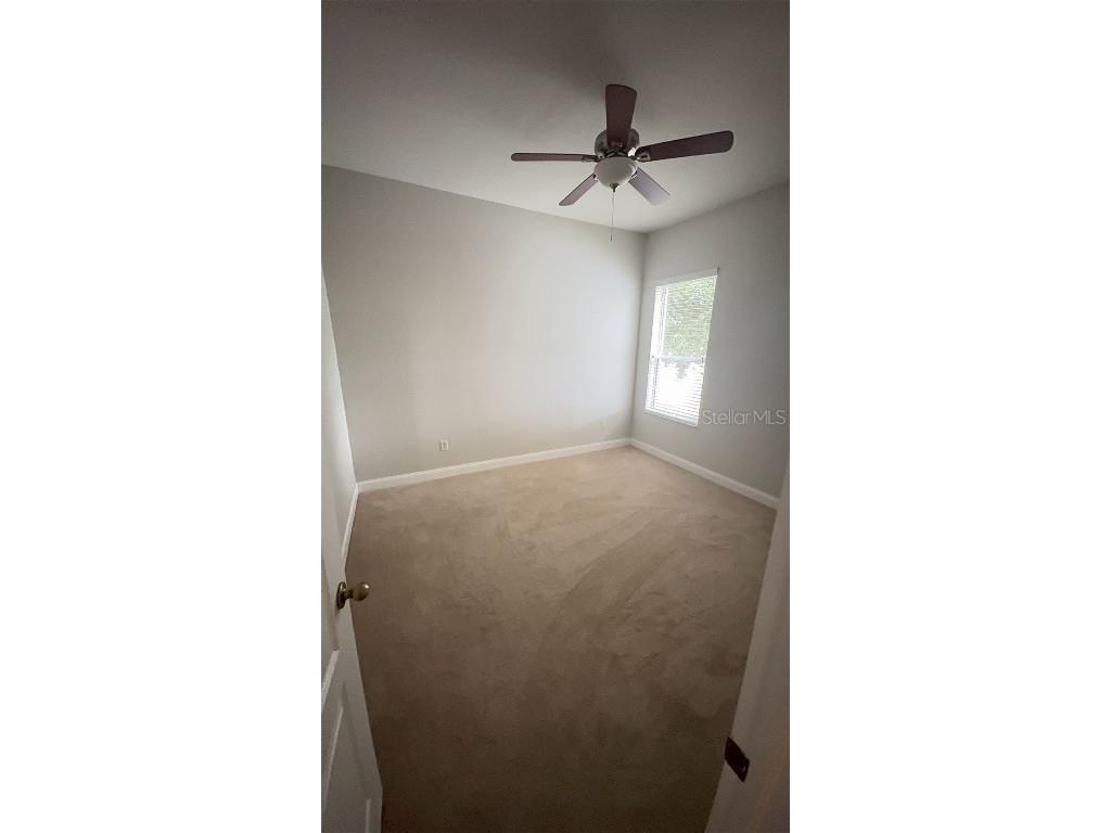 5034 Torrey Hills Lane Lutz FL 33558 TB8422845 image30