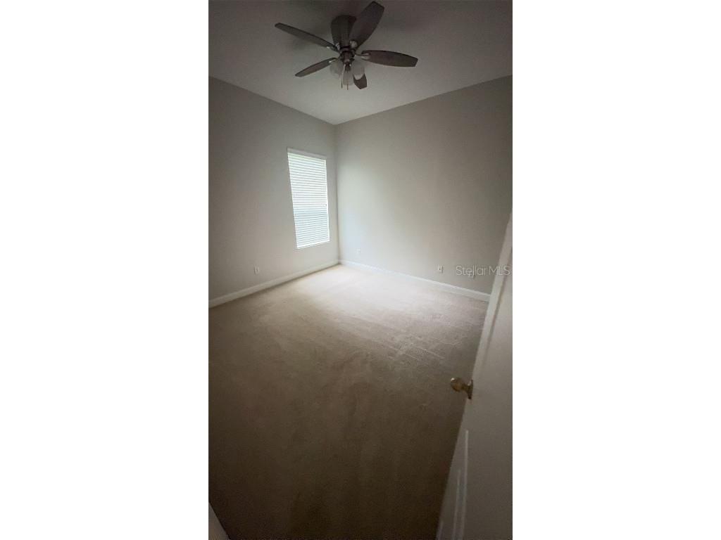 5034 Torrey Hills Lane Lutz FL 33558 TB8422845 image39