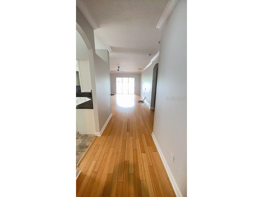 5034 Torrey Hills Lane Lutz FL 33558 TB8422845 image6