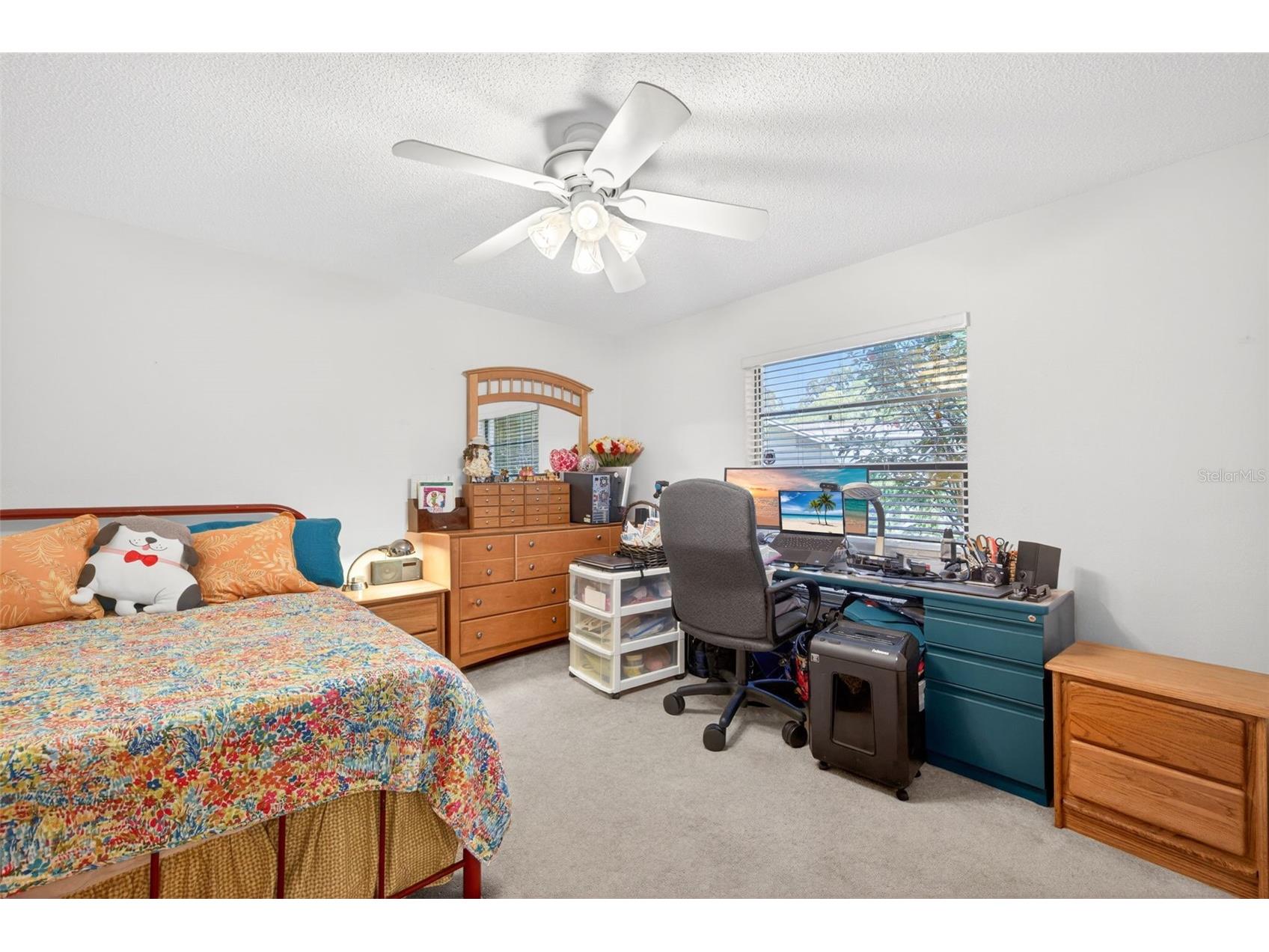 5035 Barrowe Drive Tampa FL 33624 S5148368 image22