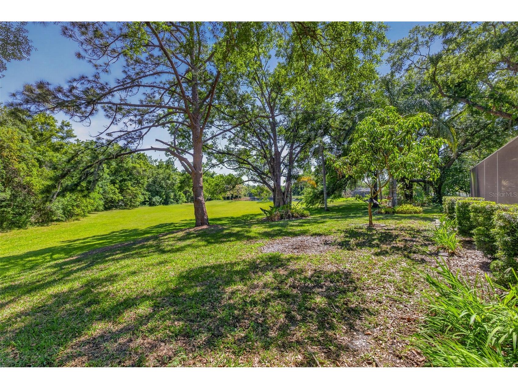 5035 Barrowe Drive Tampa FL 33624 S5148368 image35