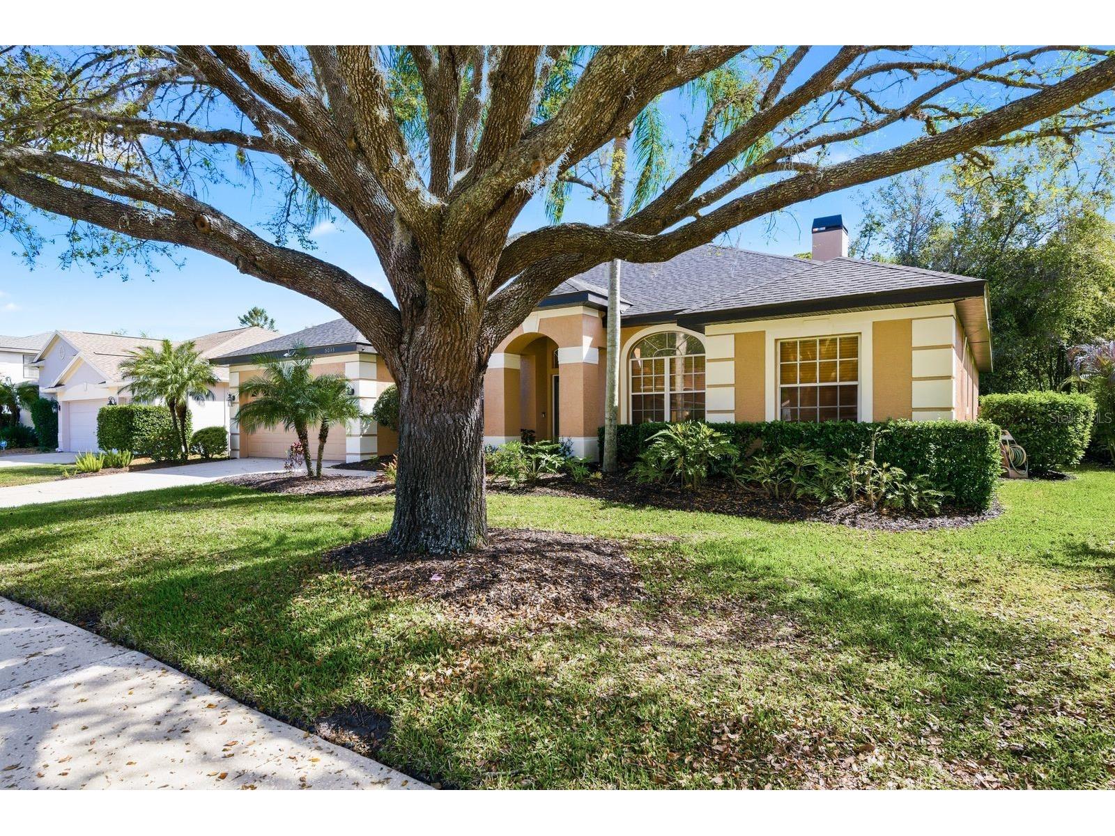 5035 Kernwood Court Palm Harbor FL 34685 TB8492717 image2