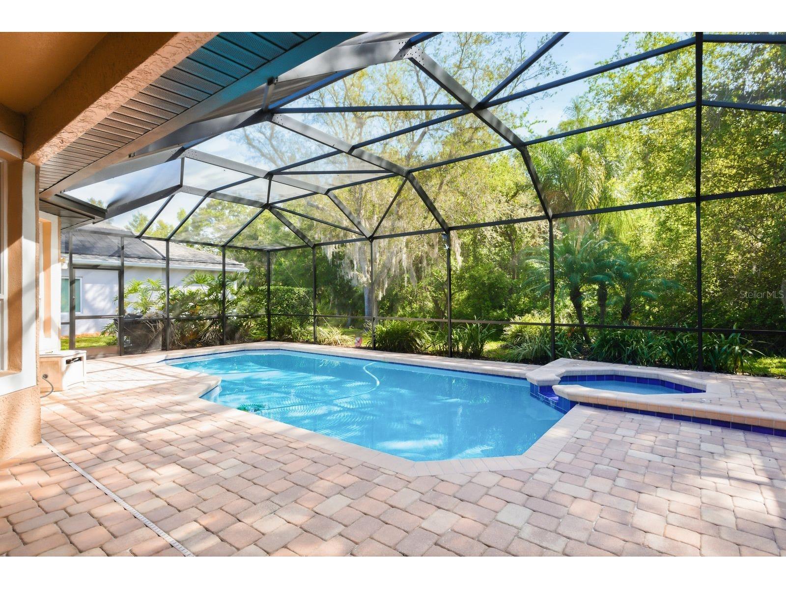 5035 Kernwood Court Palm Harbor FL 34685 TB8492717 image31