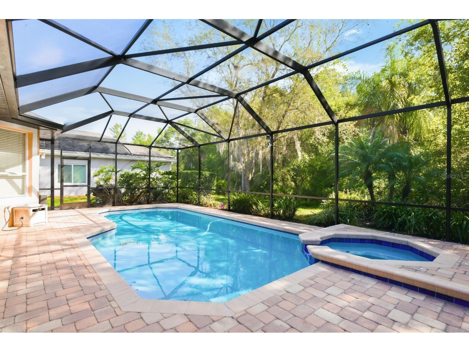 5035 Kernwood Court Palm Harbor FL 34685 TB8492717 image32