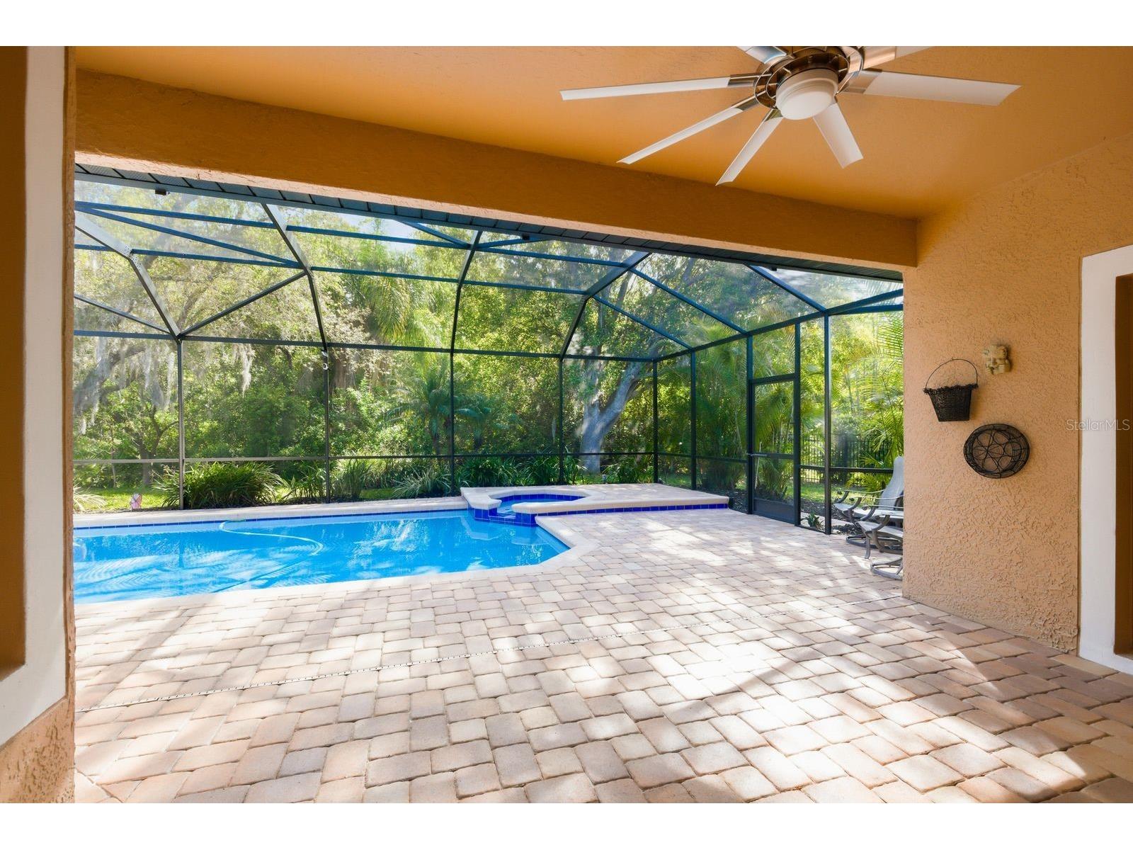 5035 Kernwood Court Palm Harbor FL 34685 TB8492717 image35