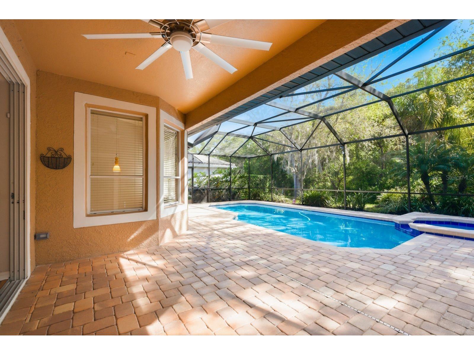 5035 Kernwood Court Palm Harbor FL 34685 TB8492717 image36