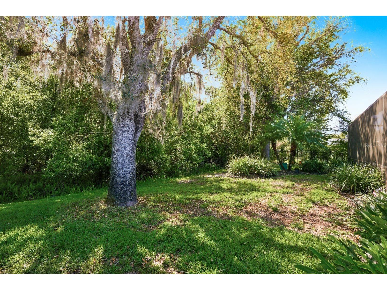 5035 Kernwood Court Palm Harbor FL 34685 TB8492717 image37