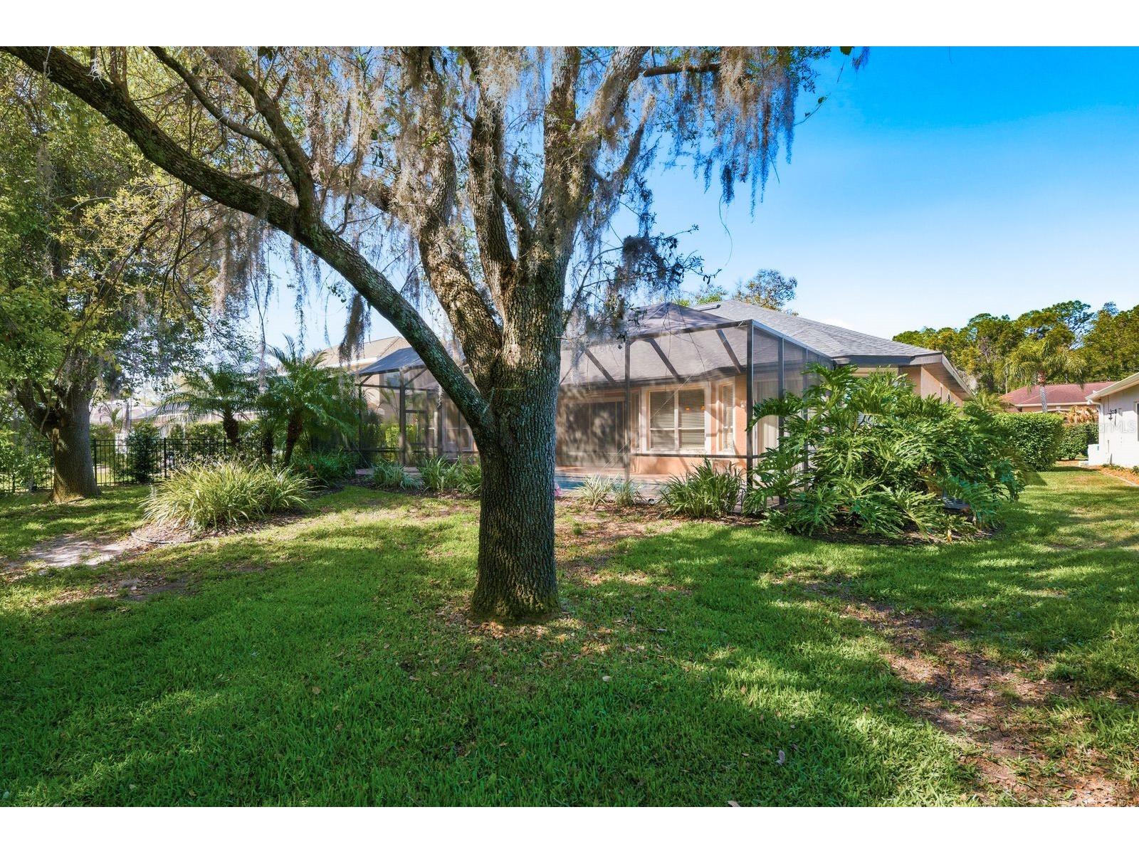 5035 Kernwood Court Palm Harbor FL 34685 TB8492717 image38