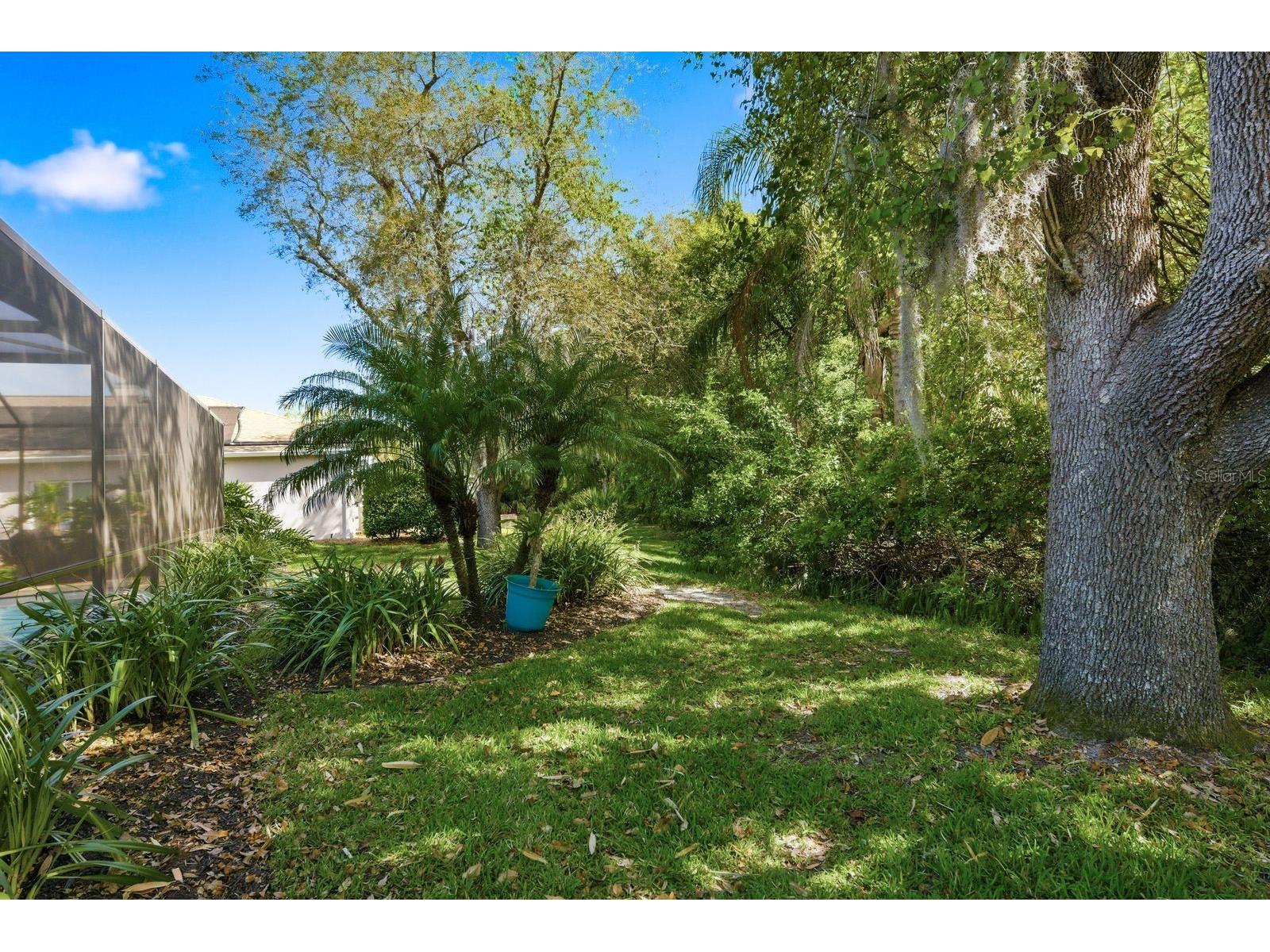 5035 Kernwood Court Palm Harbor FL 34685 TB8492717 image39