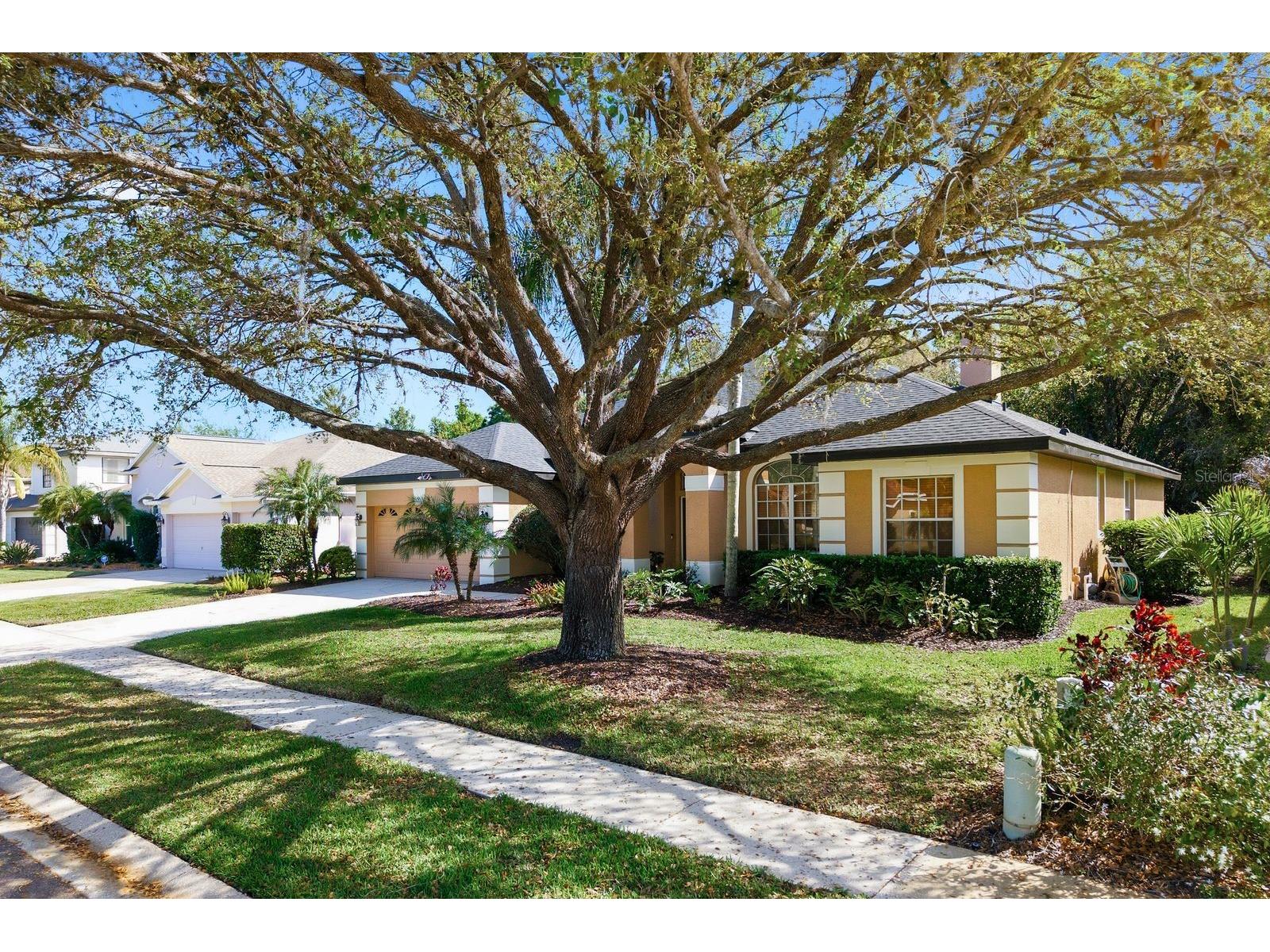 5035 Kernwood Court Palm Harbor FL 34685 TB8492717 image40