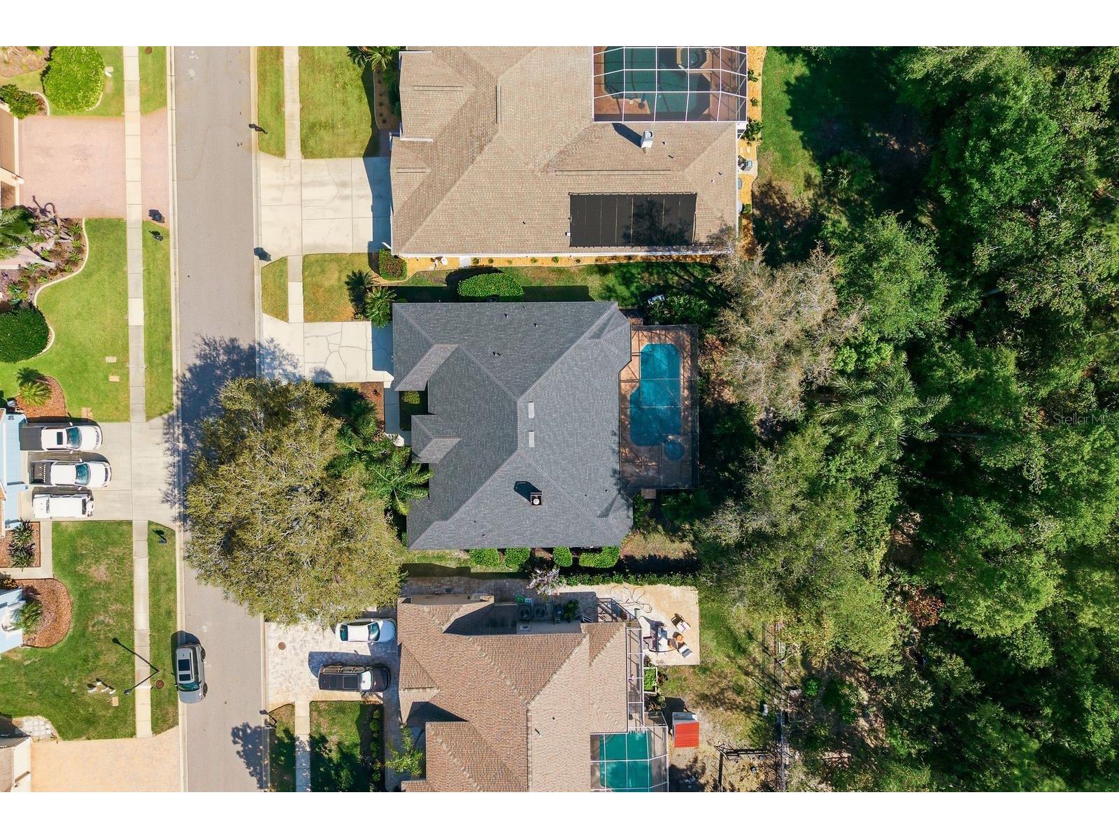 5035 Kernwood Court Palm Harbor FL 34685 TB8492717 image42