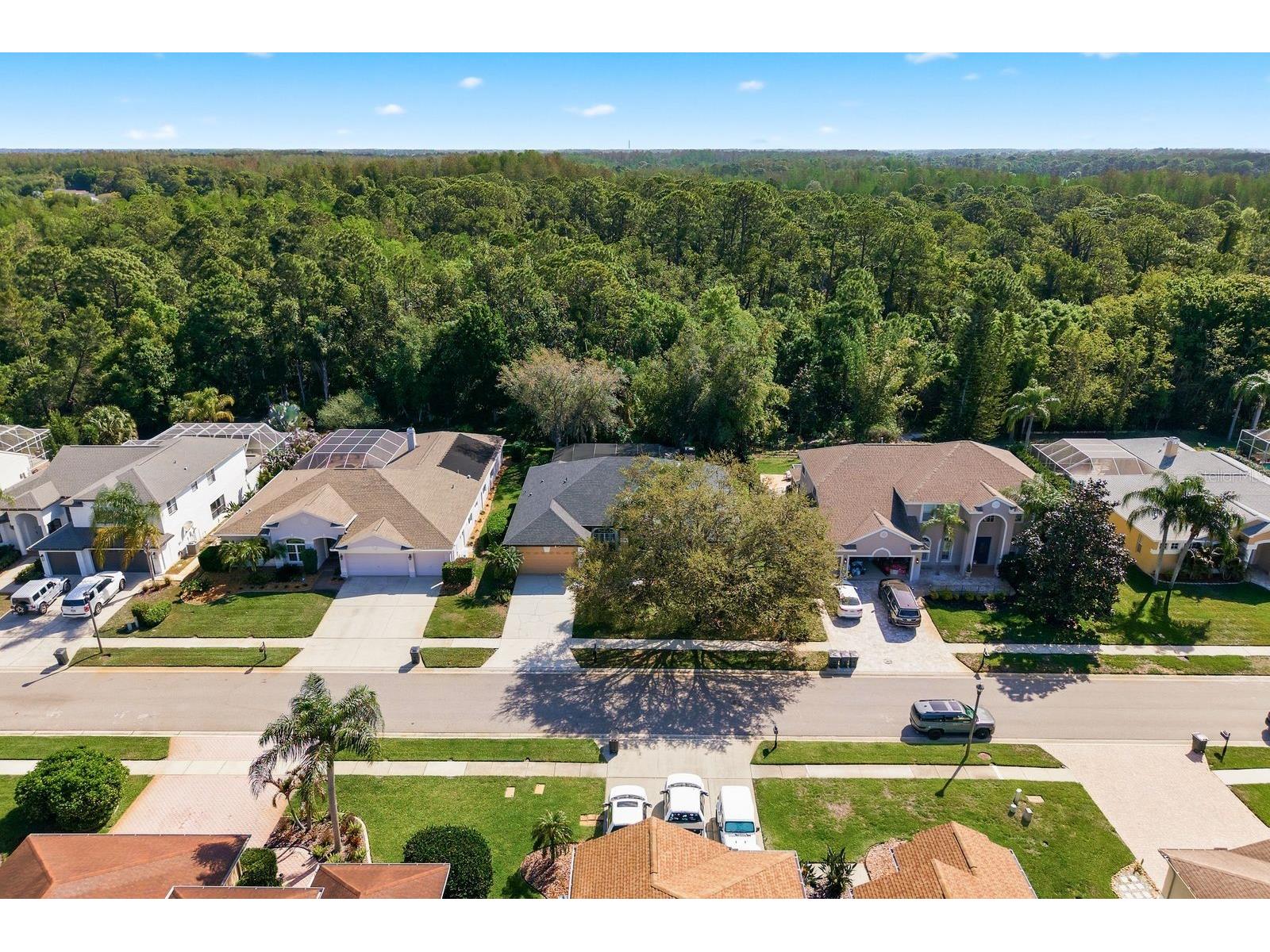 5035 Kernwood Court Palm Harbor FL 34685 TB8492717 image43