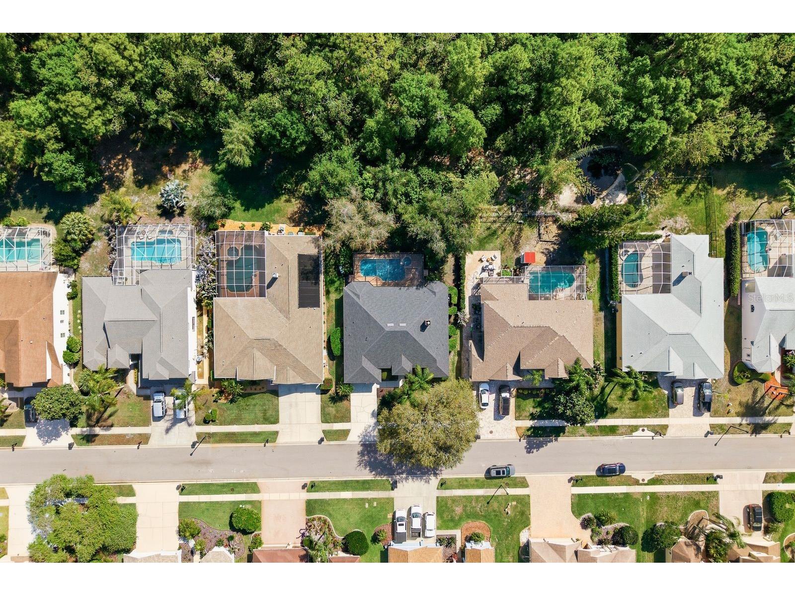 5035 Kernwood Court Palm Harbor FL 34685 TB8492717 image44