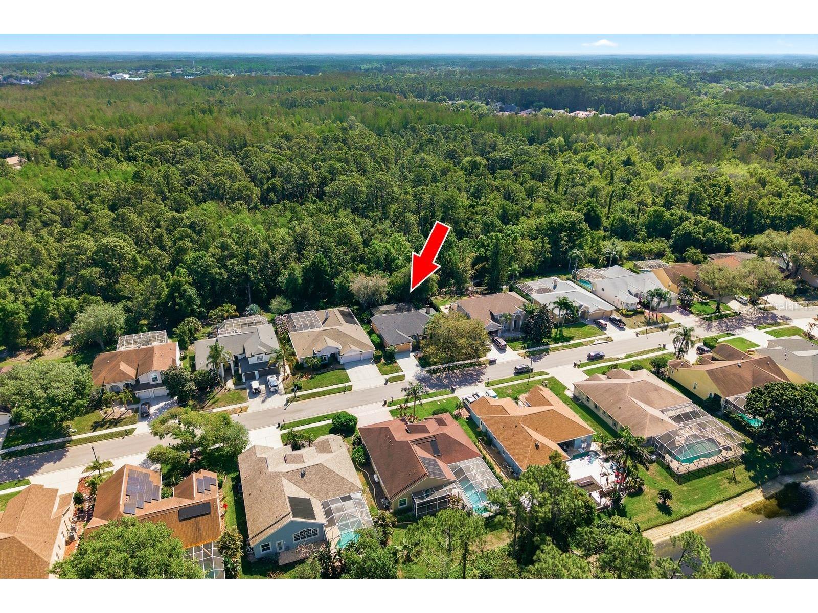 5035 Kernwood Court Palm Harbor FL 34685 TB8492717 image45