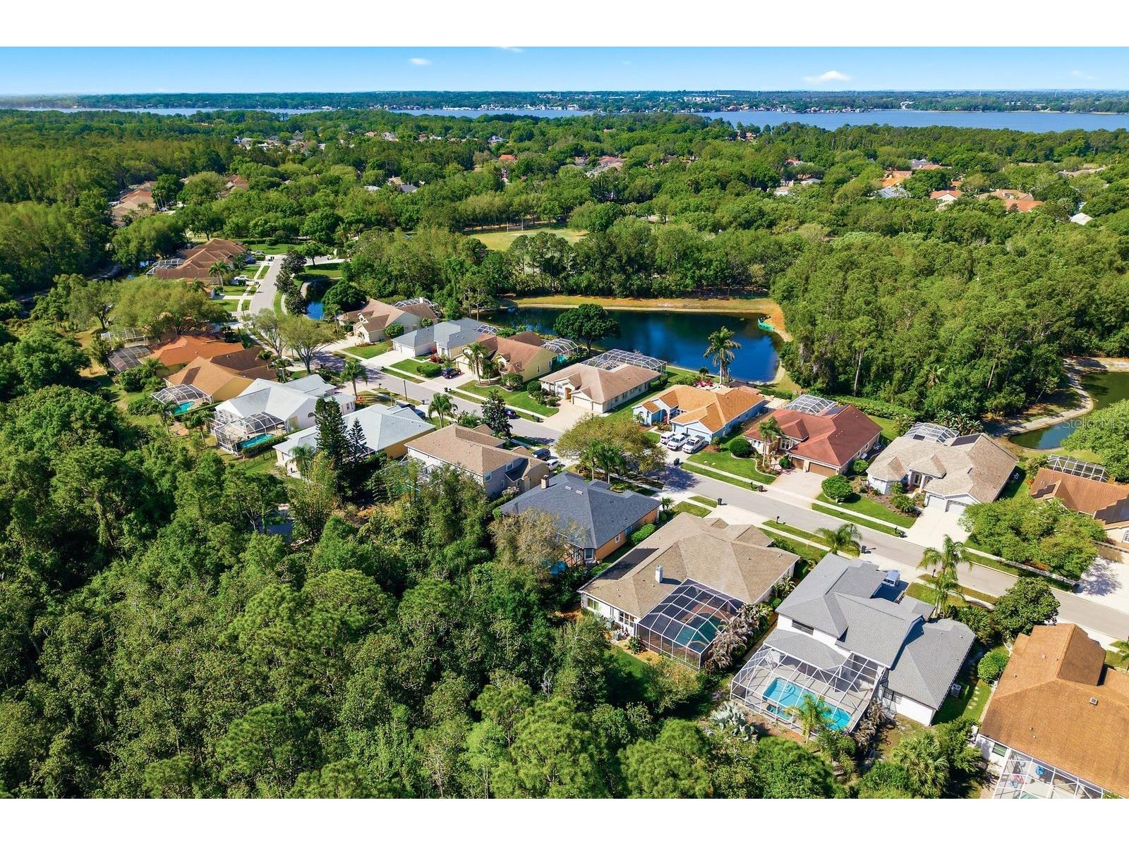 5035 Kernwood Court Palm Harbor FL 34685 TB8492717 image46