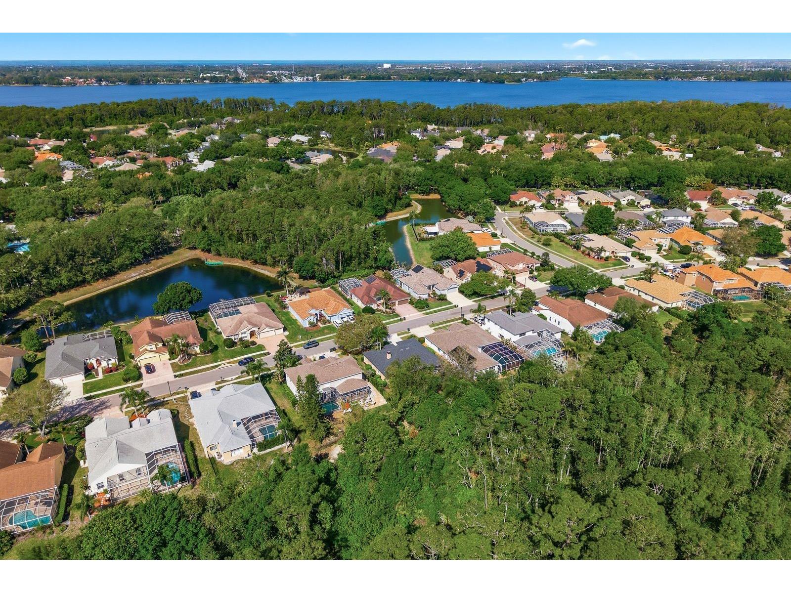 5035 Kernwood Court Palm Harbor FL 34685 TB8492717 image47