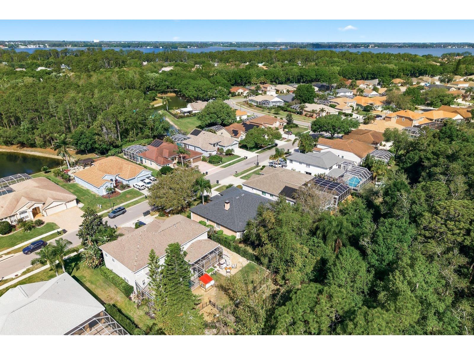 5035 Kernwood Court Palm Harbor FL 34685 TB8492717 image48