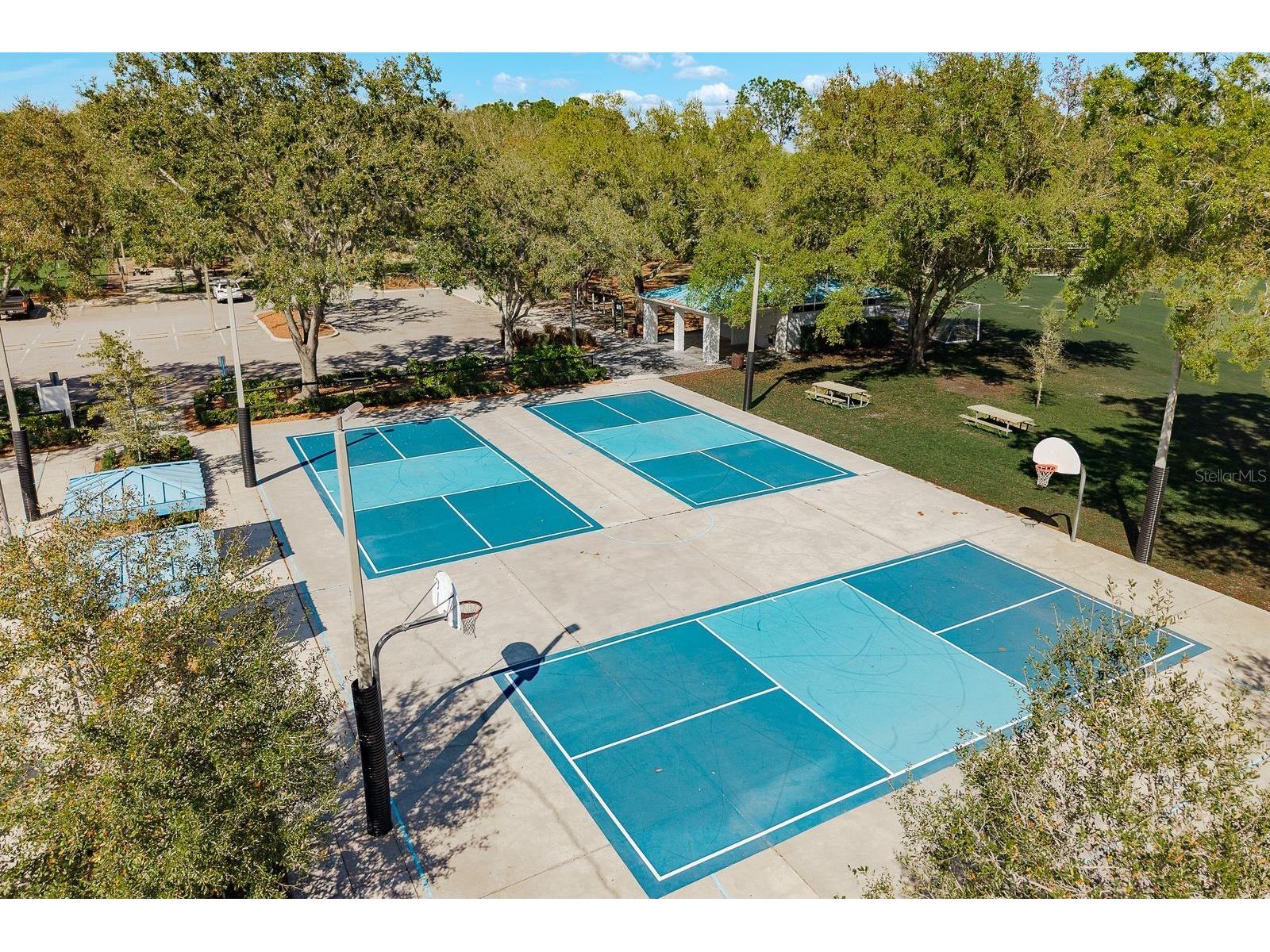 5035 Kernwood Court Palm Harbor FL 34685 TB8492717 image50