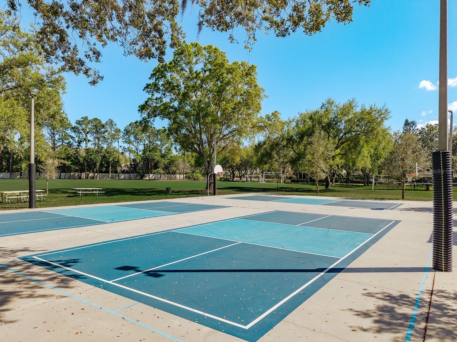 5035 Kernwood Court Palm Harbor FL 34685 TB8492717 image51