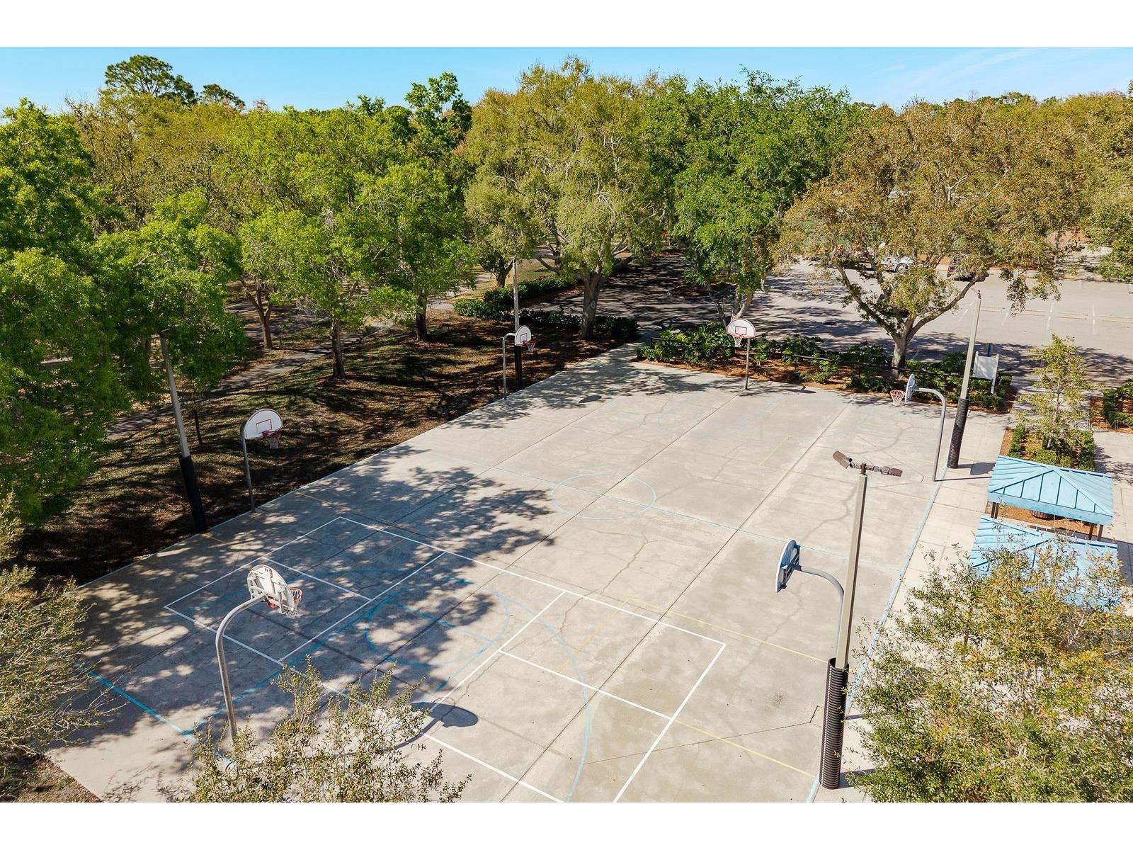 5035 Kernwood Court Palm Harbor FL 34685 TB8492717 image55