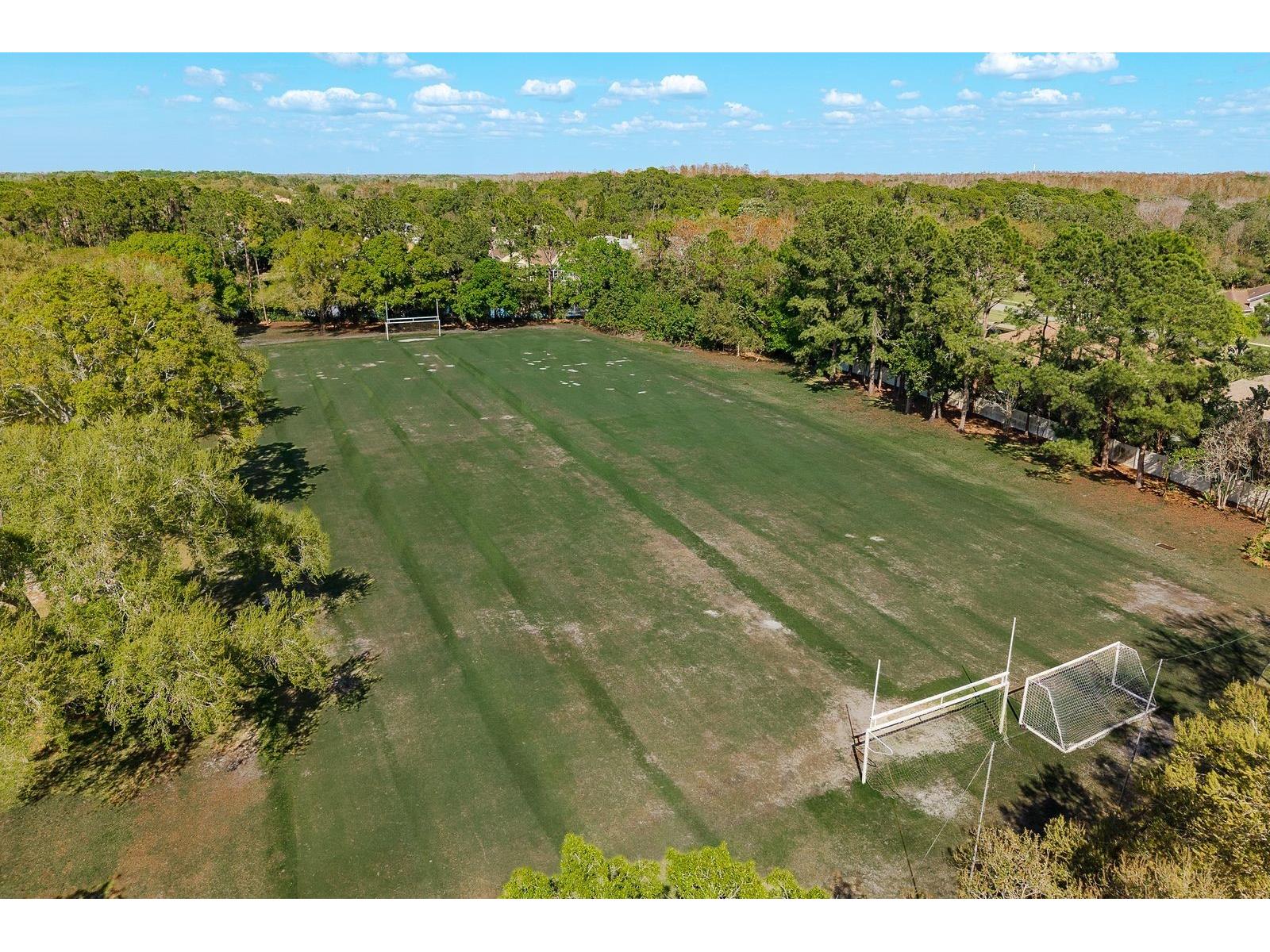 5035 Kernwood Court Palm Harbor FL 34685 TB8492717 image56