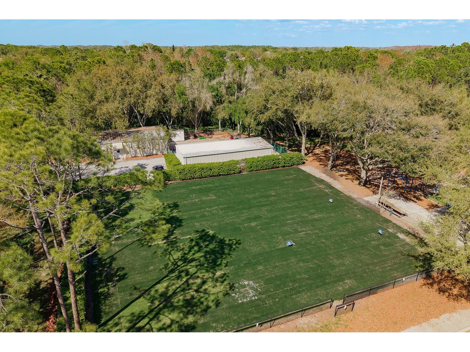 5035 Kernwood Court Palm Harbor FL 34685 TB8492717 image58