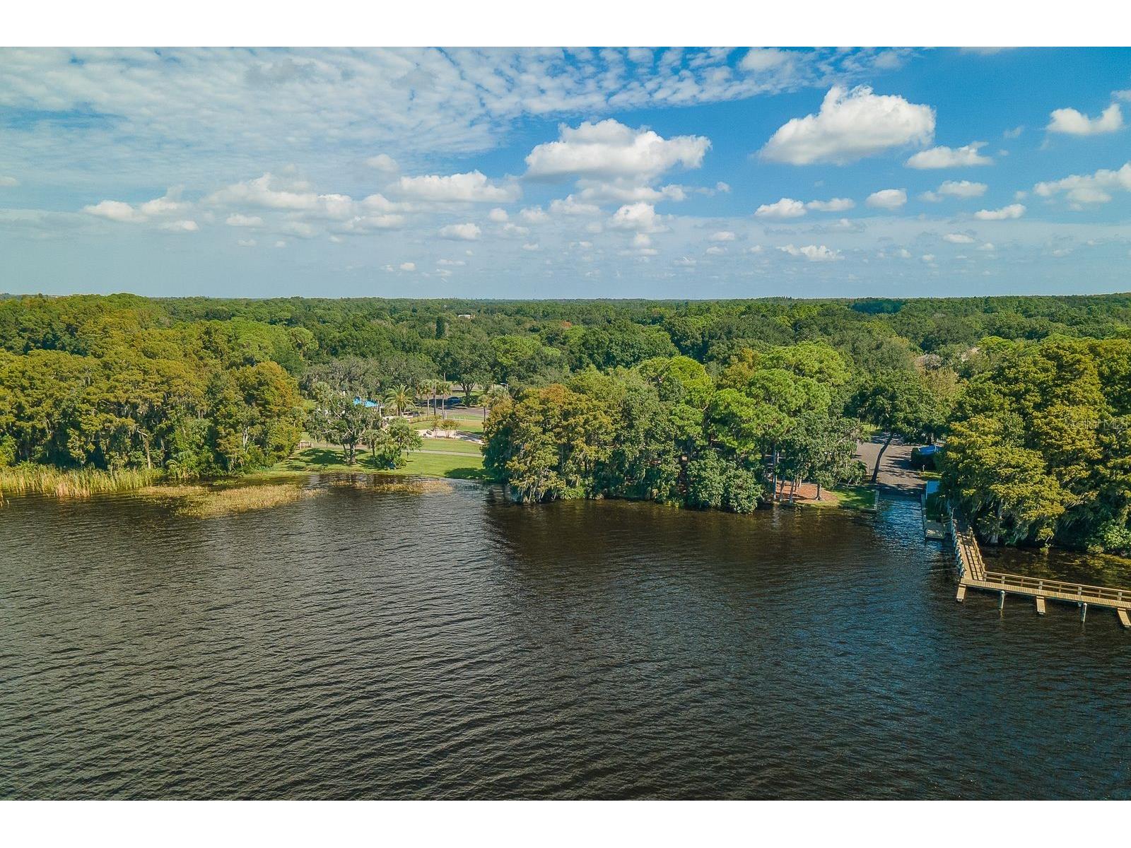 5035 Kernwood Court Palm Harbor FL 34685 TB8492717 image64