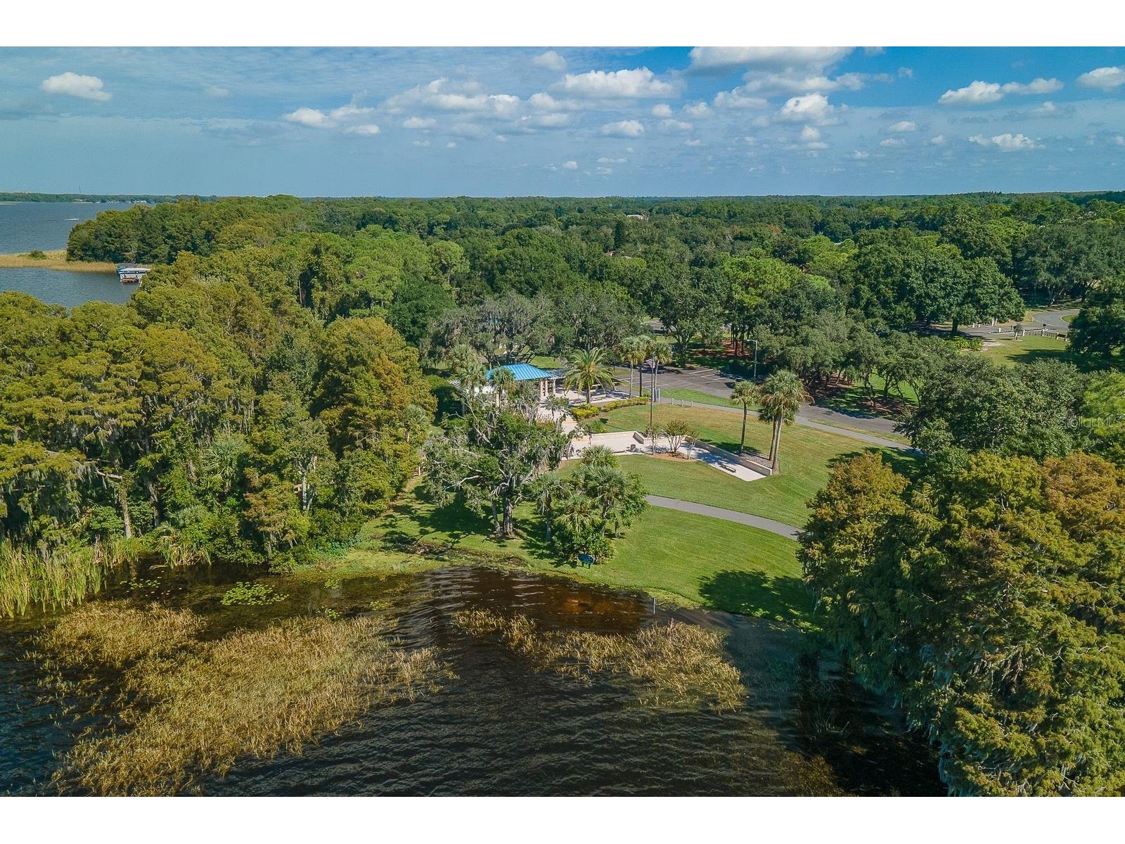 5035 Kernwood Court Palm Harbor FL 34685 TB8492717 image65