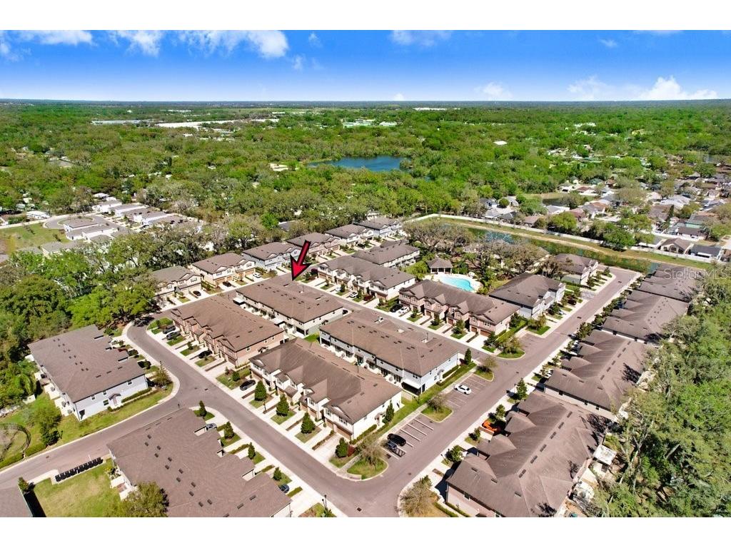 5036 Blue Latan Lane Tampa FL 33610 TB8527121 image34