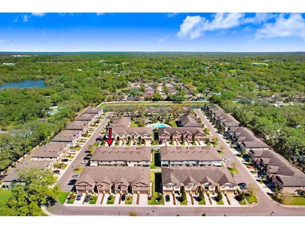 5036 Blue Latan Lane Tampa FL 33610 TB8527121 image35