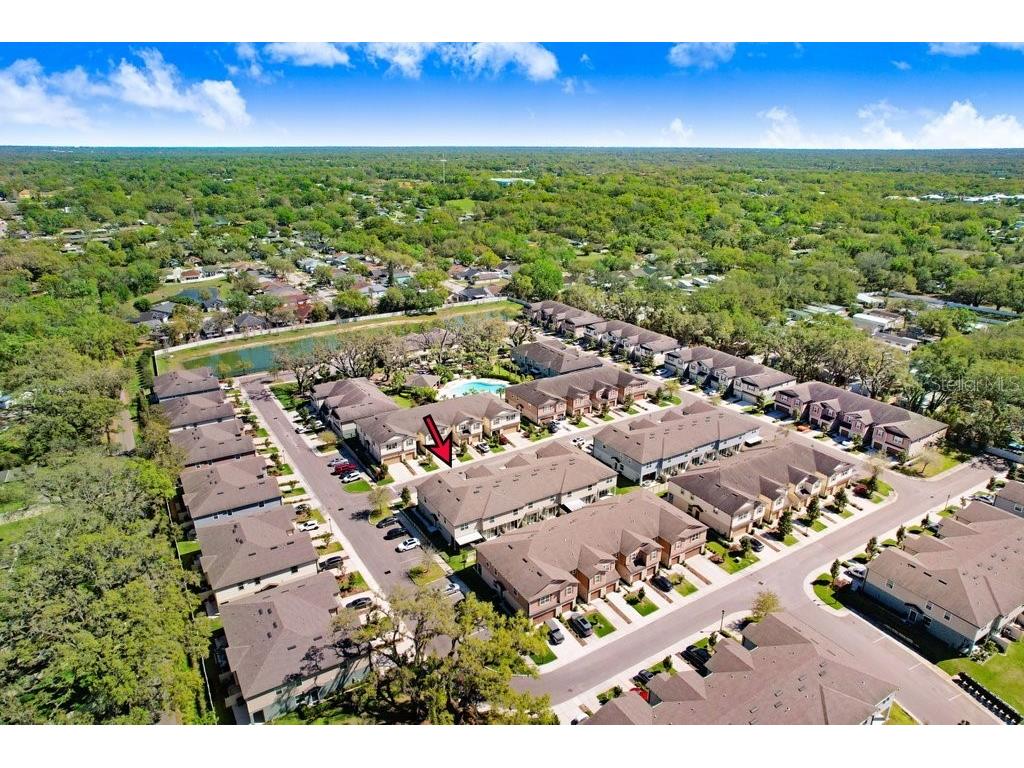 5036 Blue Latan Lane Tampa FL 33610 TB8527121 image36