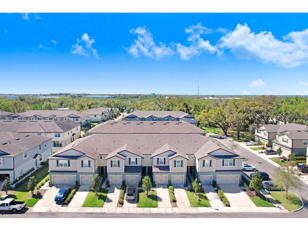 5036 Blue Latan Lane Tampa FL 33610 TB8527121 image4