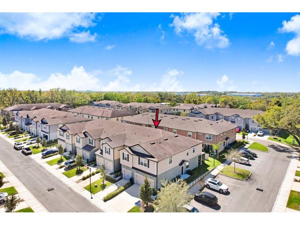 5036 Blue Latan Lane Tampa FL 33610 TB8527121 image5