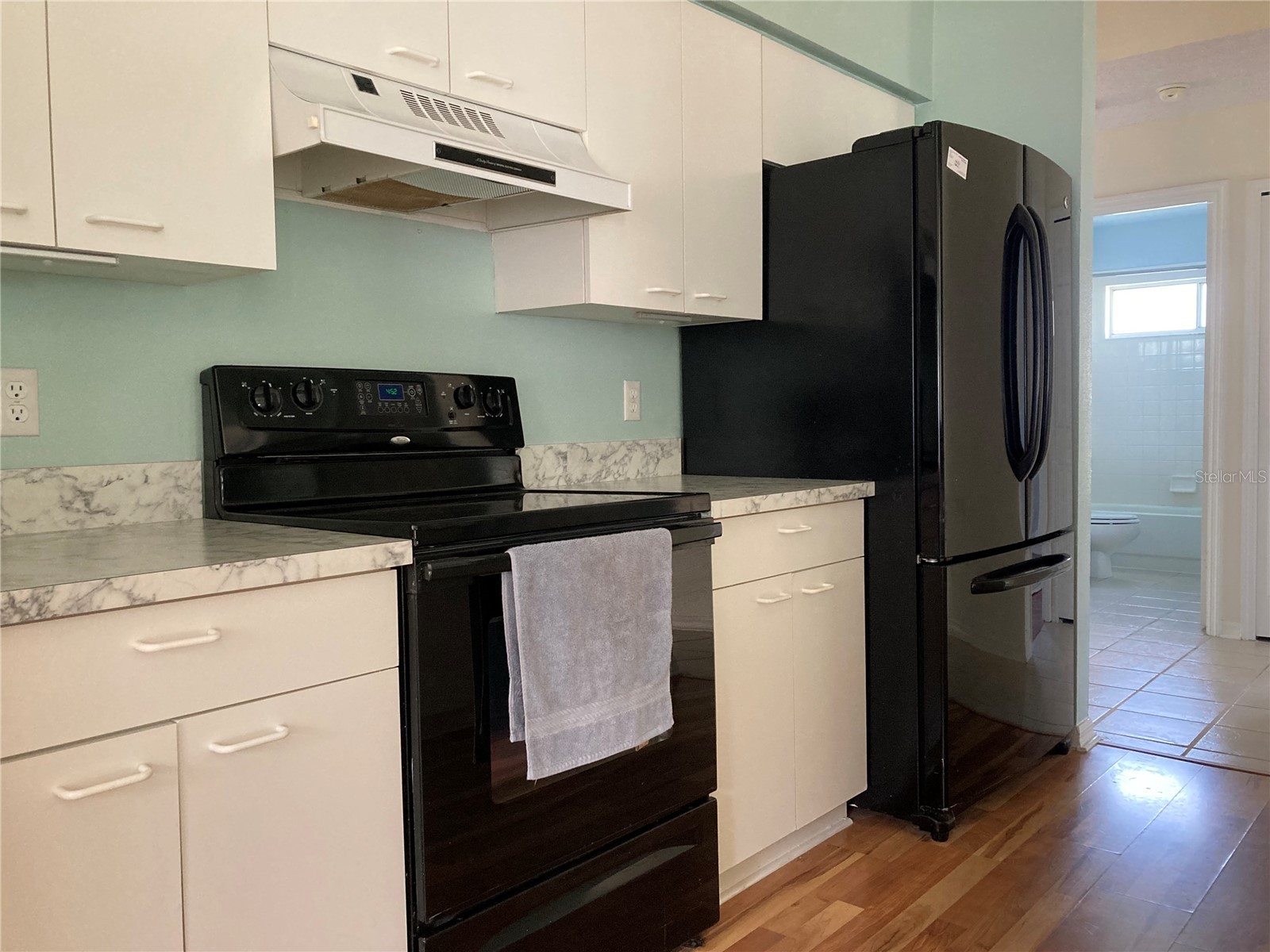 5036 El Destino Drive Leesburg FL 34748 TB8475797 image6