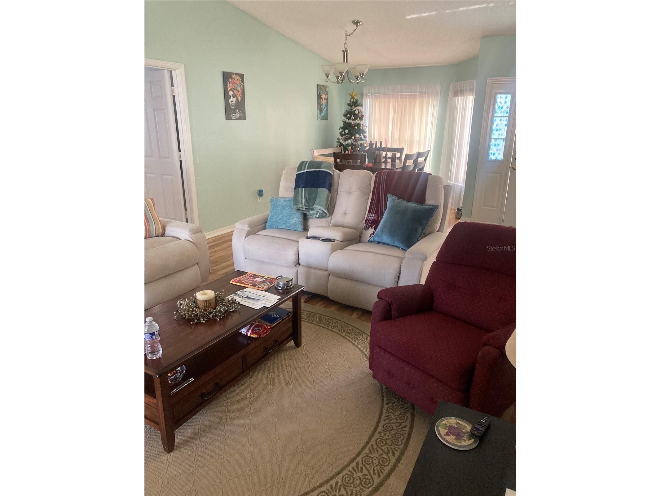5036 El Destino Drive Leesburg FL 34748 TB8475797 image8
