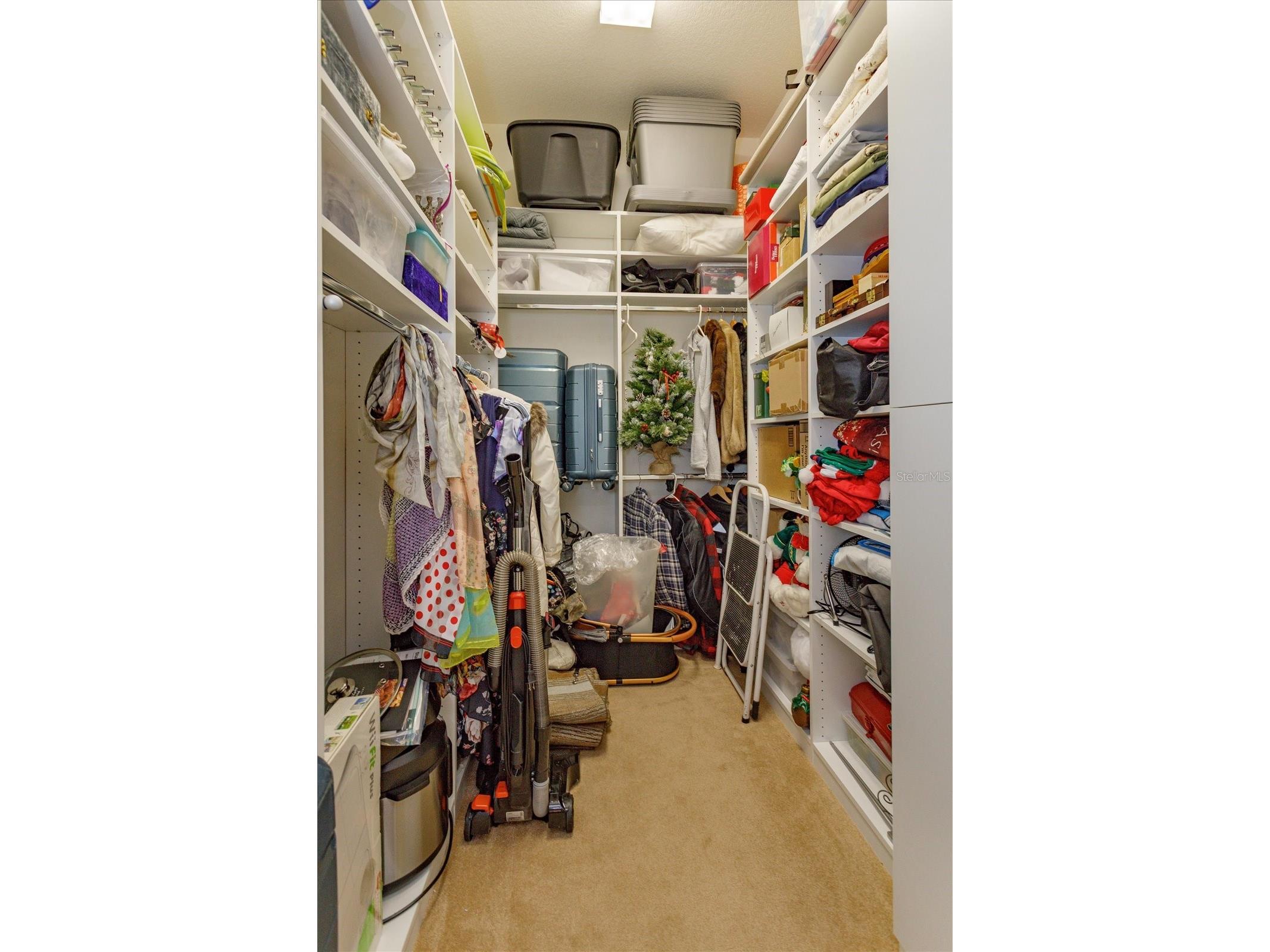 5036 Sawgrass Lake Circle Leesburg FL 34748 G5102886 image22