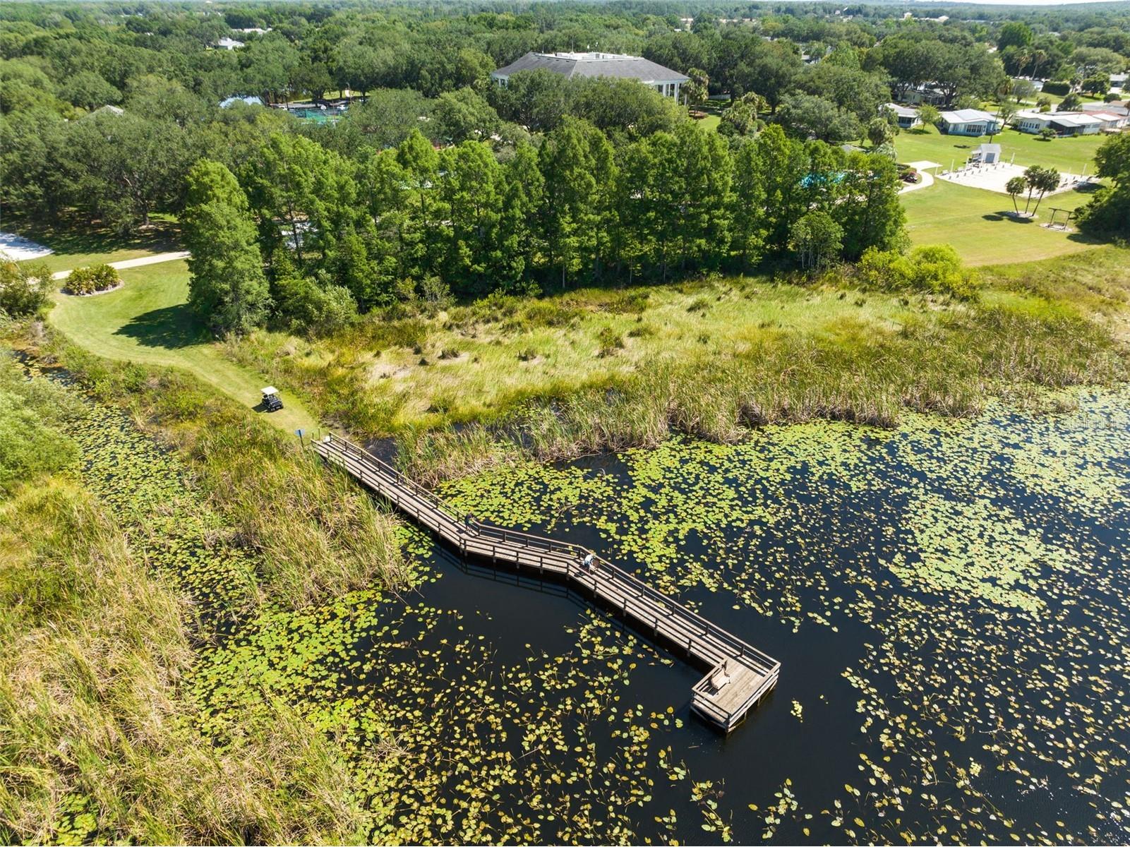 5036 Sawgrass Lake Circle Leesburg FL 34748 O6395800 image41
