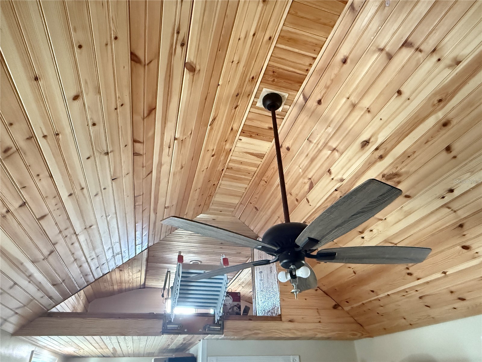 5036 Shore Line Drive Polk City FL 33868 P4935807 image11